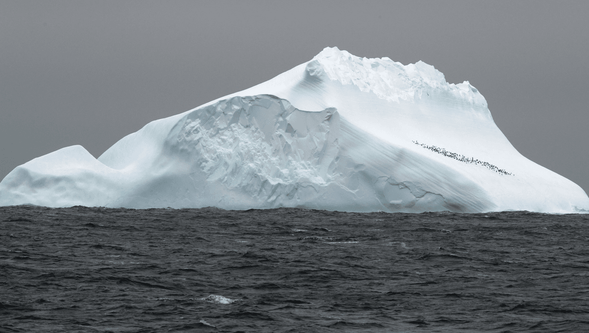 Biggest Ocean Current On Earth Is Set To Shift Location, Spelling Huge Changes For Ecosystems