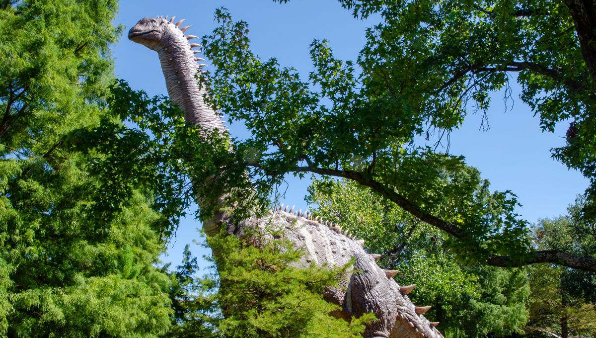 Alamosaurus: At 21 Meters Long, This Titanosaur Is The Largest Land Animal Ever Known To Have Lived In North America