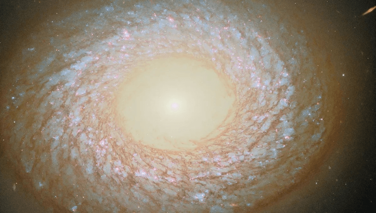 NGC 2775: Galaksi Ini Melanggar Aturan Evolusi Galaksi yang Membingungkan