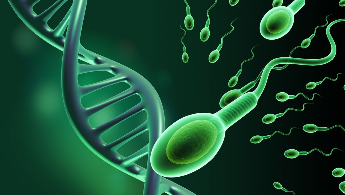 COVID-19 Dapat Mengubah Sperma, Berpotensi Menyebabkan Kecemasan
