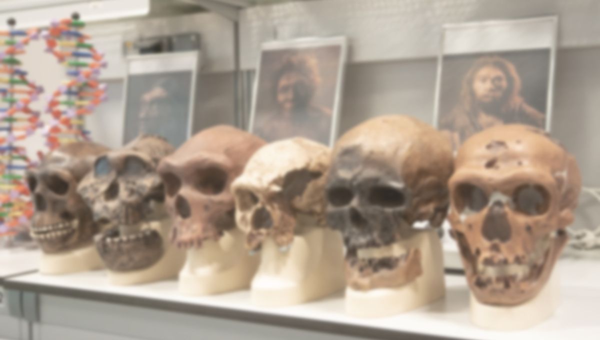 Ilmuwan Beri Gen Neanderthal dan Denisova pada Tikus, Hasilnya Menarik