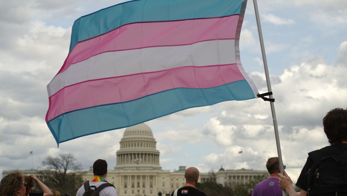 Terapi Hormon untuk Wanita Trans Mengubah Protein Sesuai Identitas