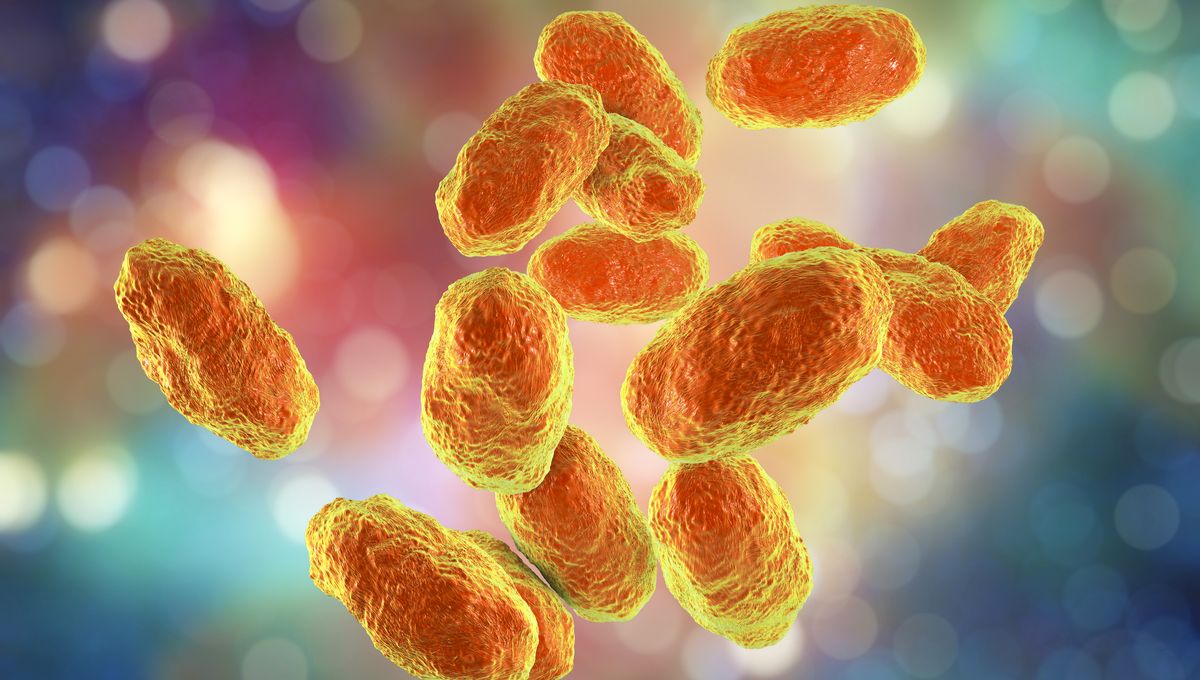Hib, Bakteri Haemophilus Influenzae Tipe B: Ancaman Infeksi Fatal