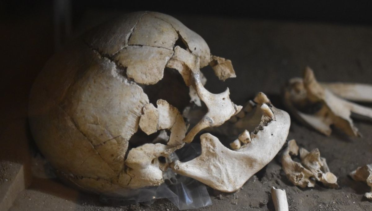 Pemburu-Kumpul Jomon Prasejarah Hampir Tak Miliki DNA Denisovan