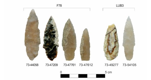 Paleolithic tools from Idaho