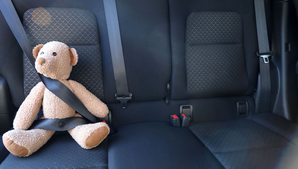 Tempat Paling Aman untuk Duduk di Dalam Mobil Anda Tempat Paling Aman untuk Duduk di Dalam Mobil Anda