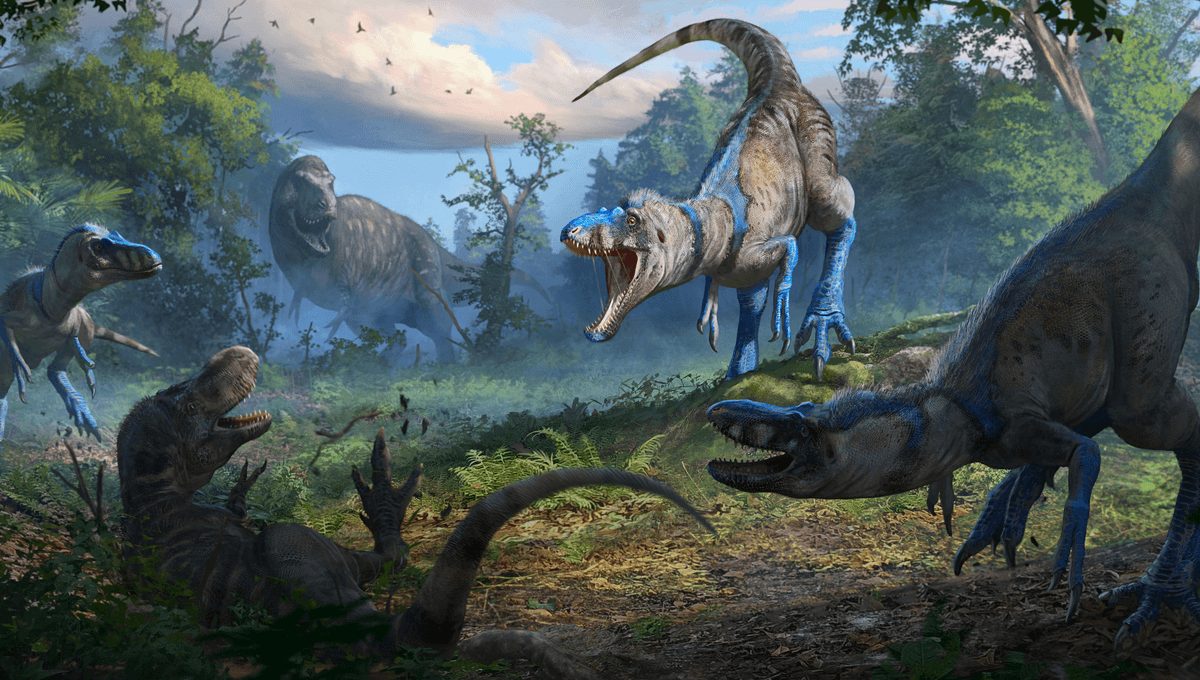 Fosil Legendaris “Dueling Dinosaurs” Tegaskan Nanotyrannus Spesies Baru