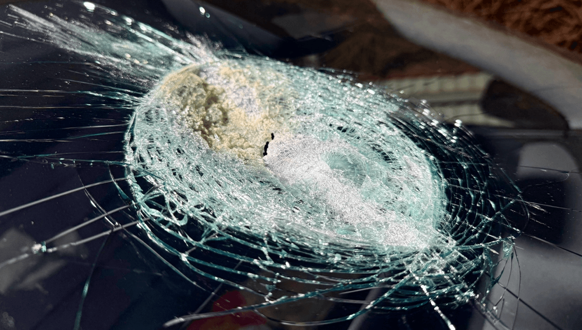 Unidentified Object Melts Windscreen Of A Moving Tesla, In What Could Be A World-First Meteorite Collision Unidentified Object Melts Windscreen Of A Moving Tesla, In What Could Be A World-First Meteorite Collision