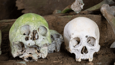 green skull next to a white skull