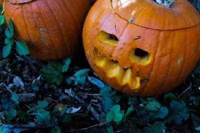 Halloween pumpkin face outside.