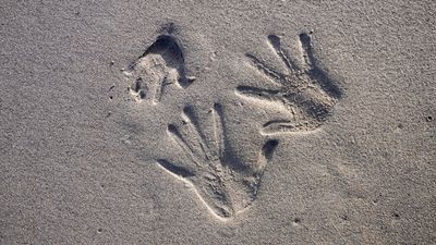 three handprints in the sand; two are adult-sized, the other child-sized