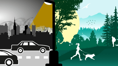 collage showing black and white illustration of a city and cars with a streetlamp shining a wan yellow on the left, with a bright sunny illustration of a forest landscape in shades of green on the right, with a dog walker and a hiker silhouetted in white