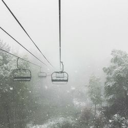 A winter scene from a chair lift surrounded by falling snow and alpine trees