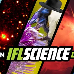 iflscience.com - Eleanor Higgs - Lupus Linked To Virus That Over 95 Percent Of Us Carry, First Radio Detection Received From Interstellar Object 3I/ATLAS, And Much More This Week