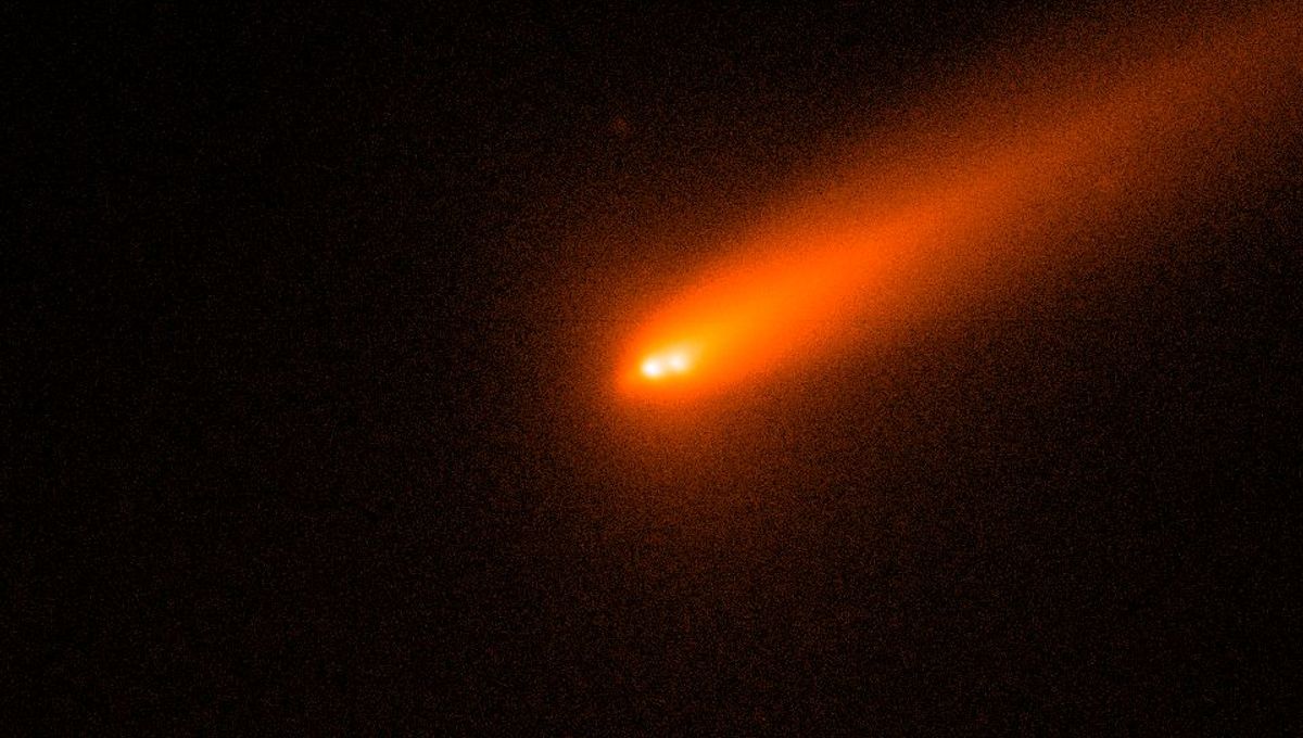 We Jinxed It – Golden Comet C/2025 K1 (ATLAS) Has Now Broken Into Pieces