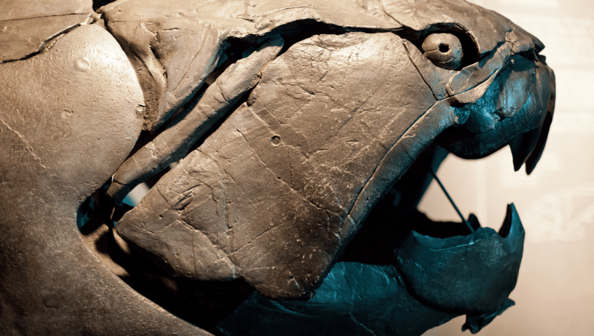 Meet Dunkleosteus, The "Cleveland Sea Monster" That Lived 360 Million Years Ago