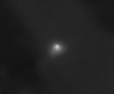 a fuzzy image showing the bright coma and the little tail of the comet
