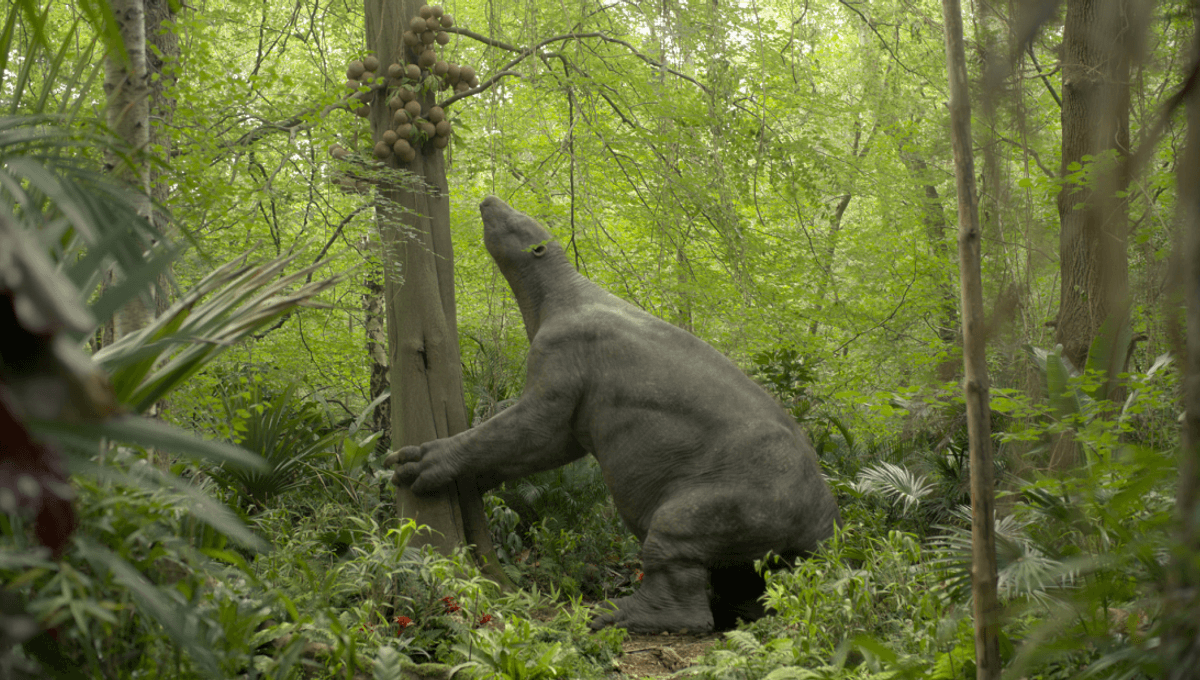 Giant Ice-Age-Era Sloths Ate "Cannonball Fruit" Over 11,000 Years Ago, And You Can Too