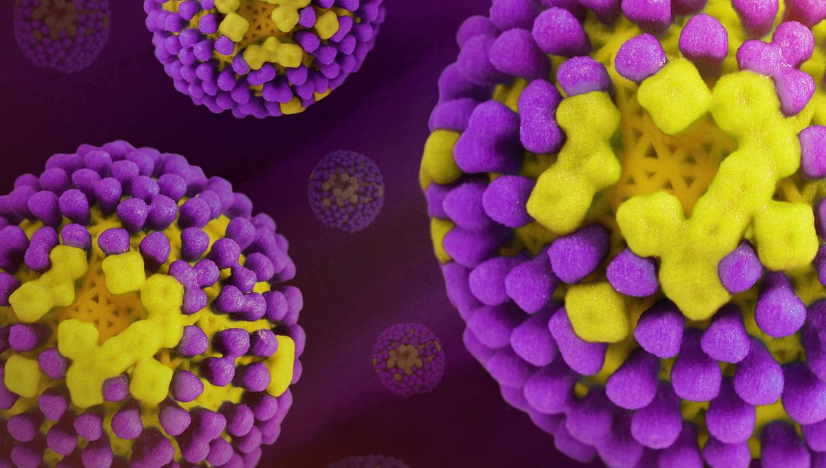 First-Ever Human Case Of H5N5 Bird Flu Results In Death Of Washington State Resident