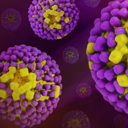 Creative artwork featuring colorized 3D prints of influenza virus (surface glycoprotein hemagglutinin is purple and neuraminidase is yellow; the viral membrane is a darker yellow).
