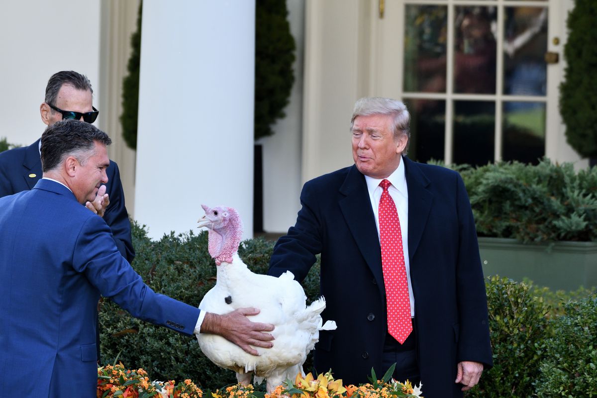 Why Does The President Pardon A Turkey For Thanksgiving?