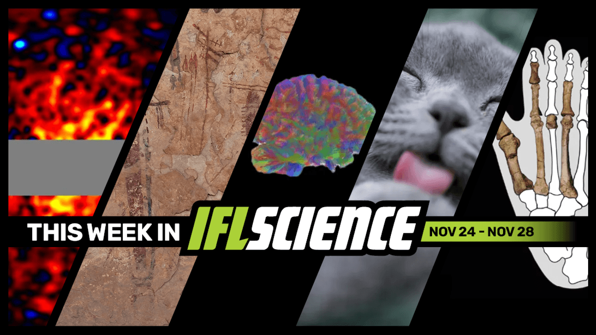 Have We Finally "Seen" Dark Matter? Mysterious Ancient Foot May Be From Our True Ancestor, And Much More This Week