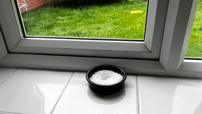Salt bowl in window