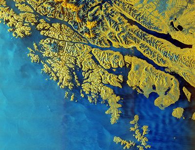 This false-color image of Tierra del Fuego, an archipelago off the tip of South America, is one of the first captured by ESA's new Copernicus Sentinel 1D satellite.