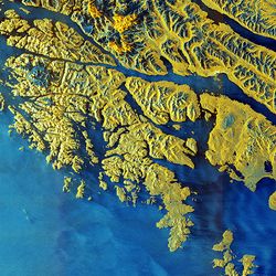 This false-color image of Tierra del Fuego, an archipelago off the tip of South America, is one of the first captured by ESA's new Copernicus Sentinel 1D satellite.