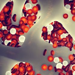 3D illustration of bone marrow