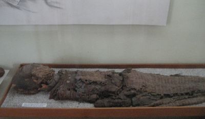 Chinchorro mummy