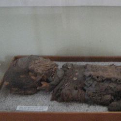 Chinchorro mummy