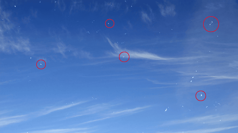 "Blue-sky sprites": tiny white dots seen when looking at a blue background.