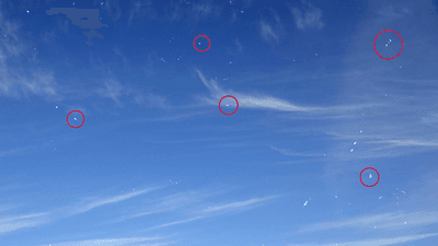"Blue-sky sprites": tiny white dots seen when looking at a blue background.