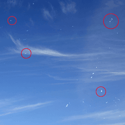"Blue-sky sprites": tiny white dots seen when looking at a blue background.