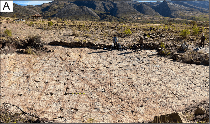 The Carreras Pampas tracksite in Torotoro National Park, Bolivia, just smashed dinosaur track and trace records. 