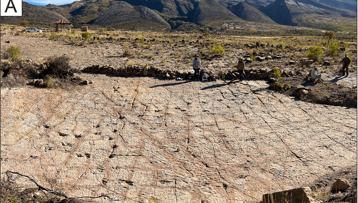 World’s Largest Dinosaur Tracksite Has At Least 16,600 Footprints And Sets Many World Records