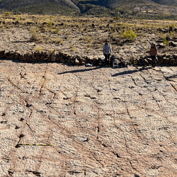 The Carreras Pampas tracksite in Torotoro National Park, Bolivia, just smashed dinosaur track and trace records. 