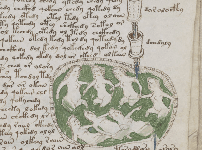A page of the Voynich Manuscript
