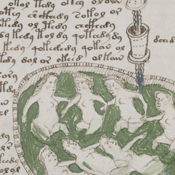 A page of the Voynich Manuscript