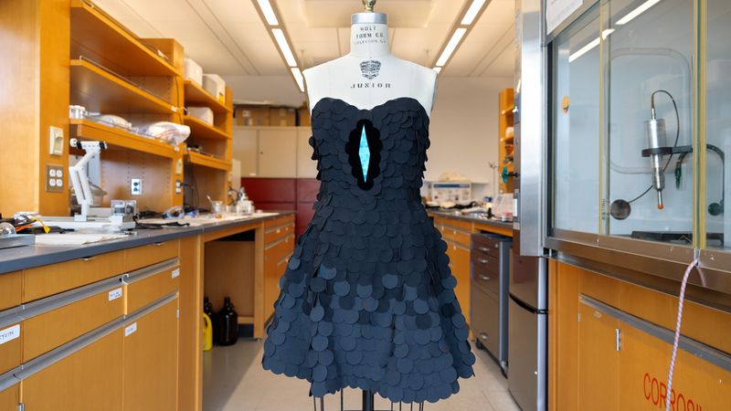 A dress designed by Zoe Alvarez ’25, uses the ultra-black material (the dots nearest the blue) and other deep-black fabrics.