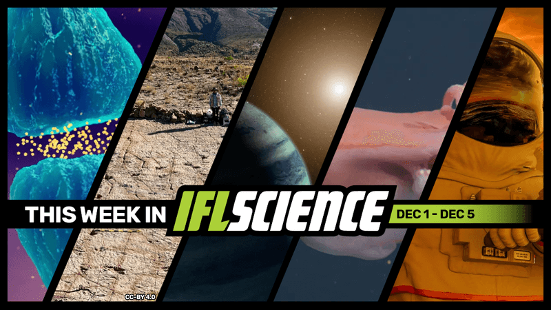All the biggest science news stories of the week.