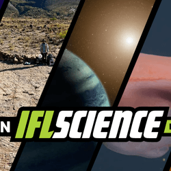 All the biggest science news stories of the week.