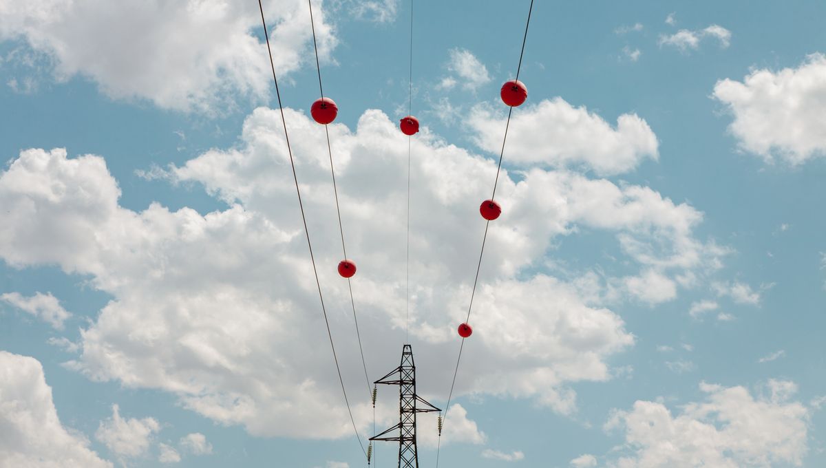 Why Do Power Lines Have Those Big Colorful Balls On Them? | IFLScience