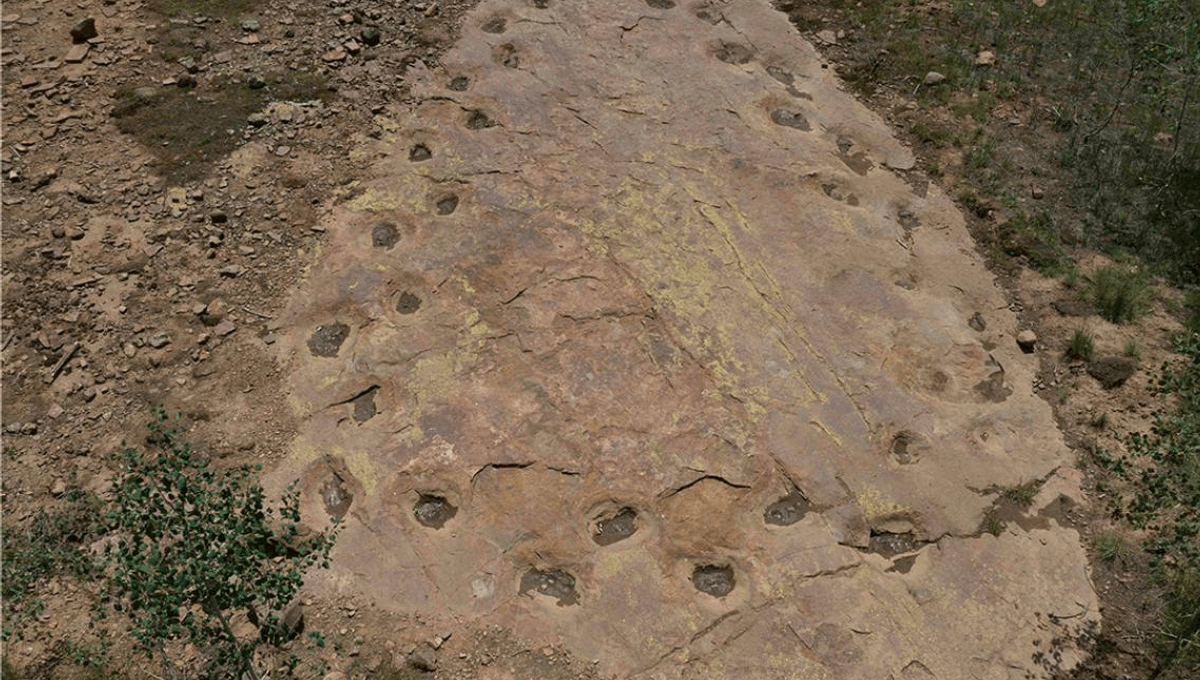 Poor Sauropod Was Limping When It Made Curious 360° Looping Dinosaur Track