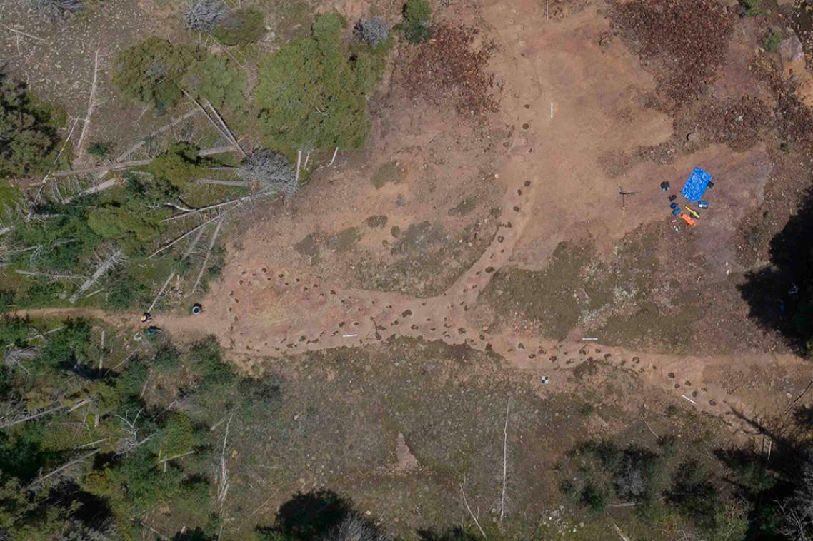 The shape of the trackways is clearly visible from suitable height.