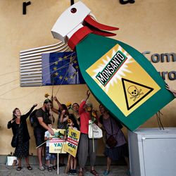 Activists take part in a protest against Biotechnology giant Monsanto, outside the European Commission headquarters in Brussels, Belgium on Jul. 19, 2017