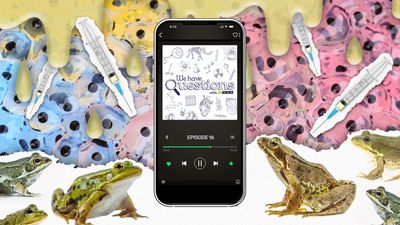 Episode 16 of We Have Questions playing on a smartphone