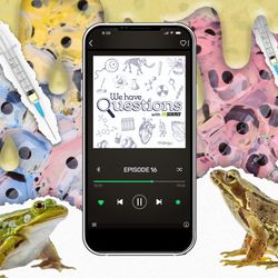 Episode 16 of We Have Questions playing on a smartphone