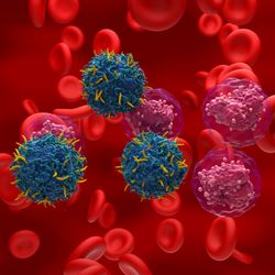 illustration of modified T cells targeting cancerous white blood cells with a background of red blood cells